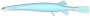 candiru.png